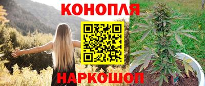 прущий лед Канаш