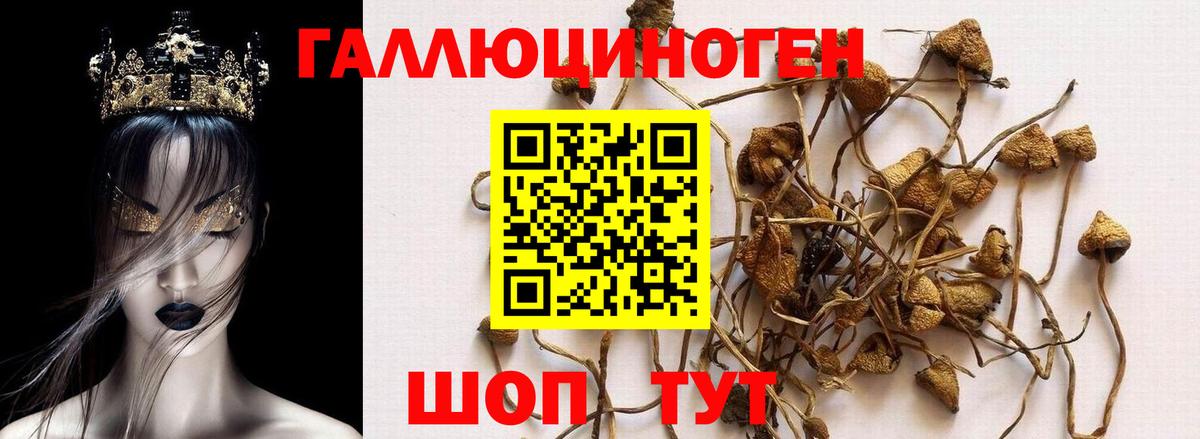 Галлюциногенные грибы прущие грибы  Вход с VPN  Магадан 